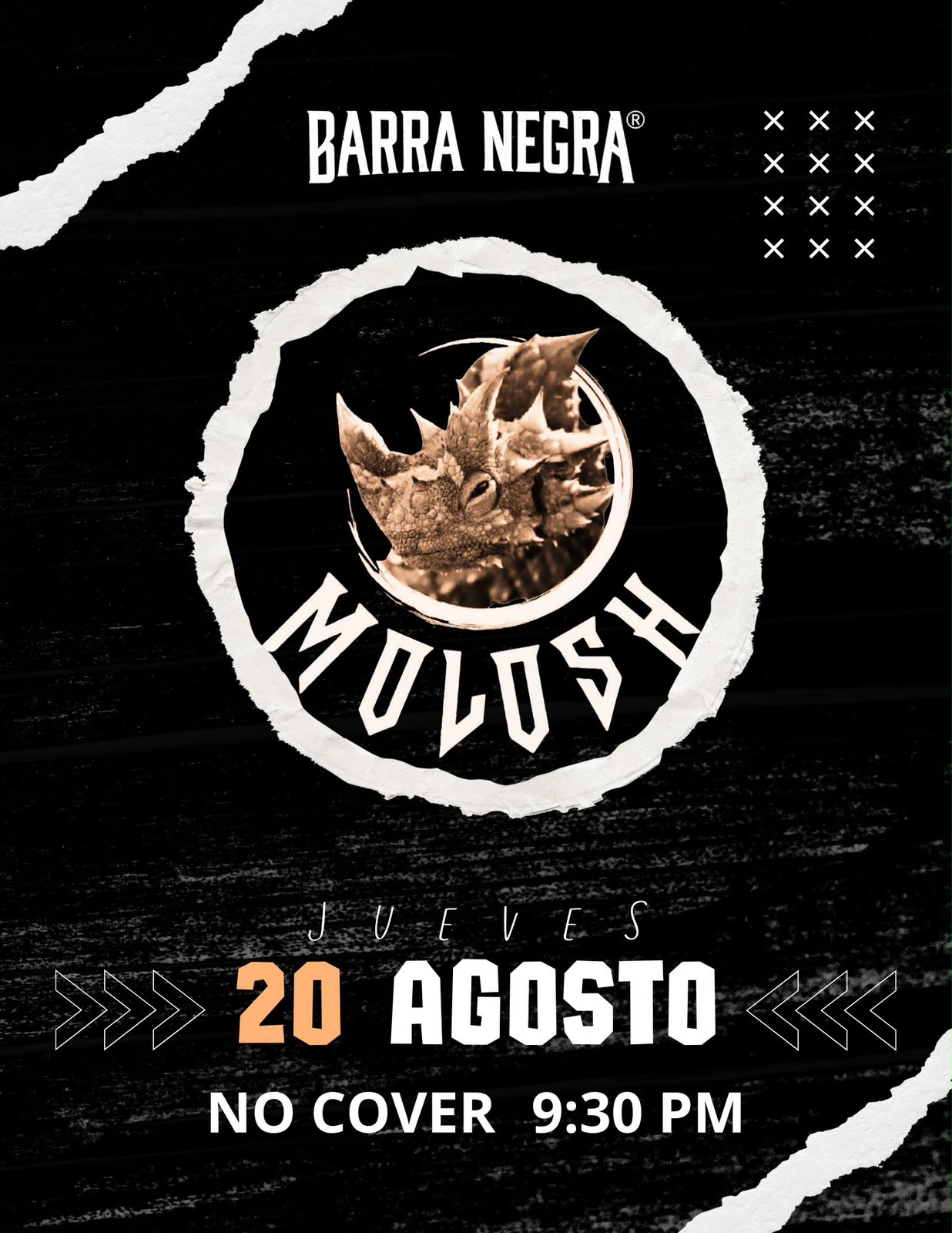 MOLOSH en Barra Negra
